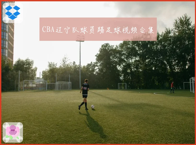 CBA辽宁队球员踢足球视频合集